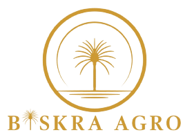 Biskra Agro: Exporting the Best of Biskra's Deglet Noor Date